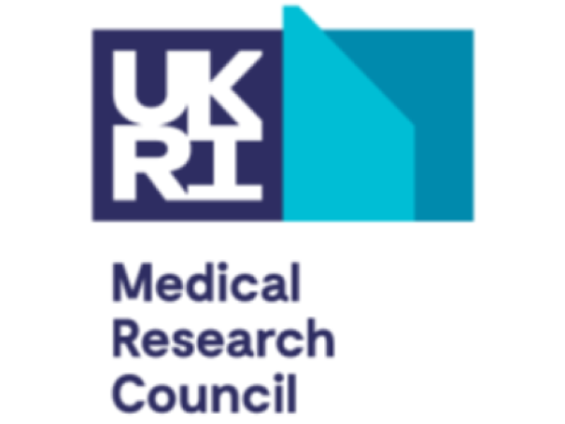 Development pathway: stage one