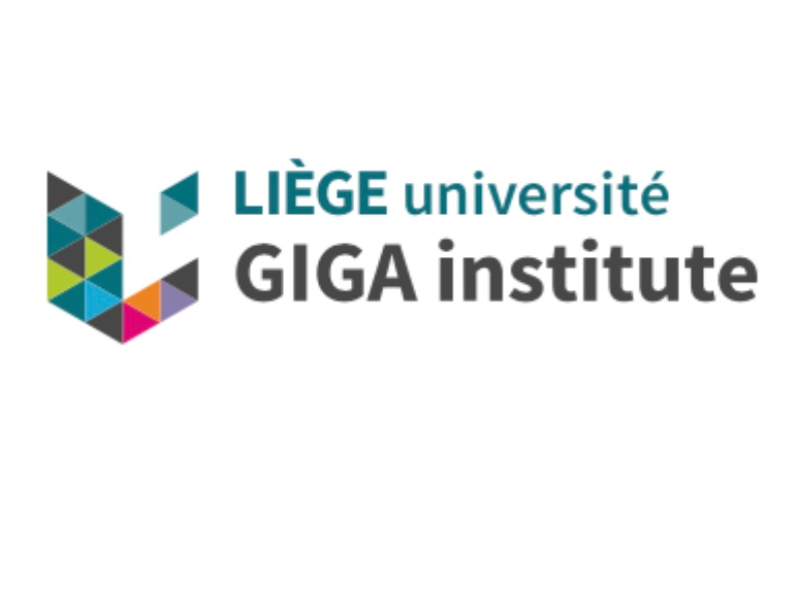 Postdoctoral Fellowship in Tumour Microenvironment and Immunotherapy