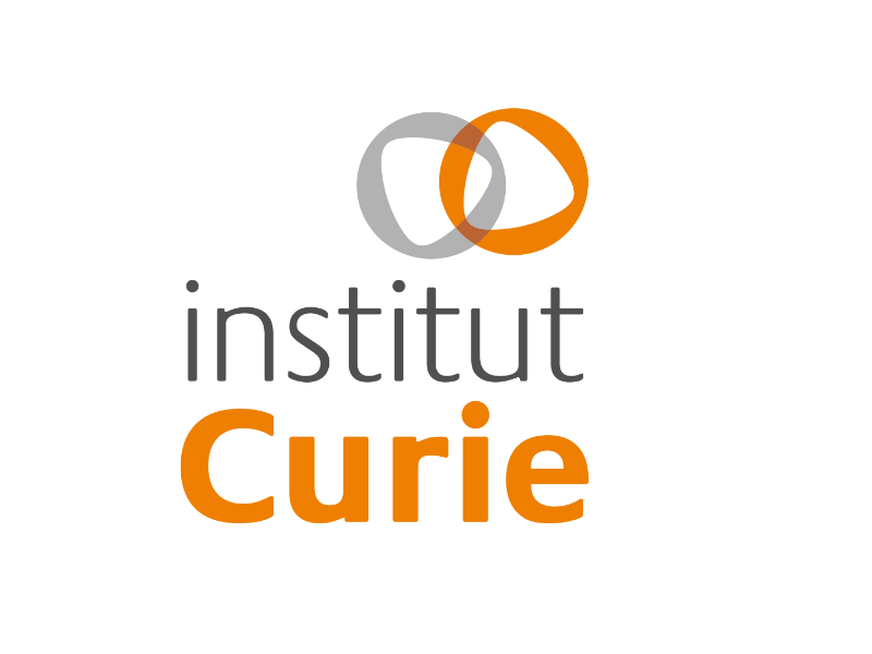 Postdoc Computational Oncology -Brain tumors