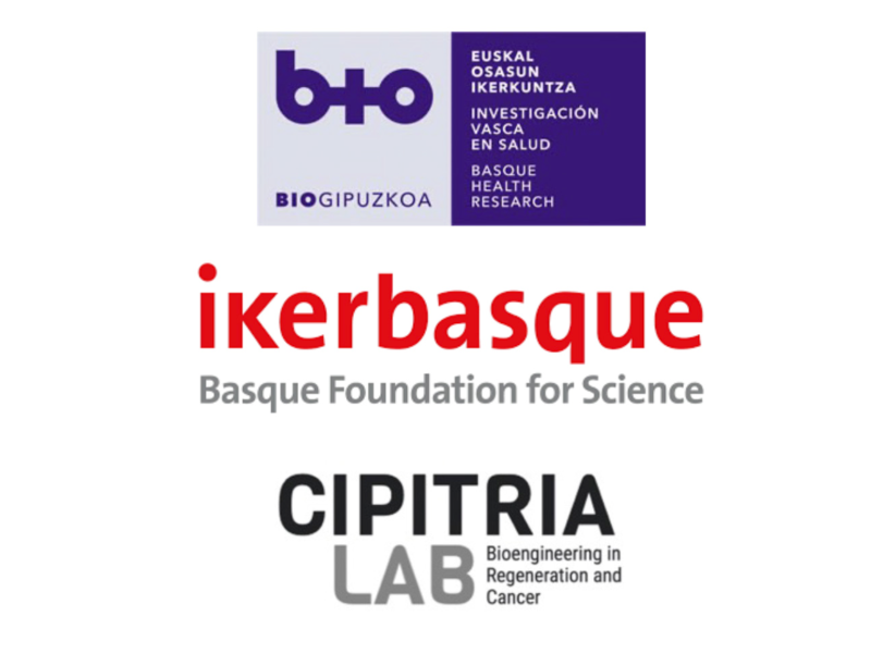 Postdoctoral researcher - Patient-derived cancer models
