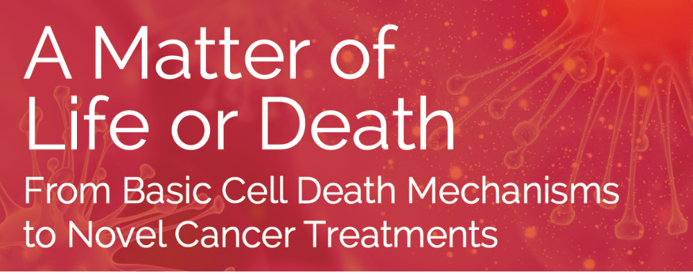 A Matter of Life or Death: From Basic Cell Death Mechanisms to Novel Cancer Treatments