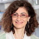  Geneviève Almouzni