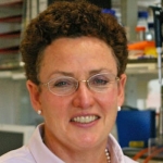 Sharon Tooze