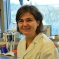  María M. Caffarel