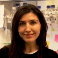  Yeliz Yilmaz