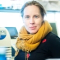  Marleen Kok